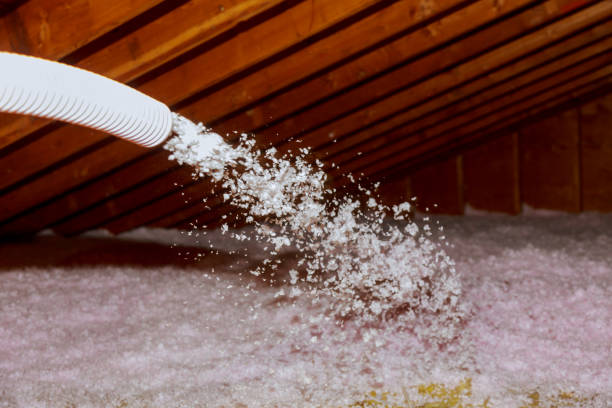 Best Insulation Contractor Near Me  in Wellford, SC